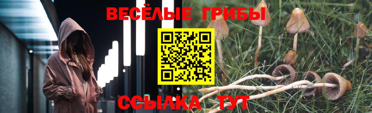 Галлюциногенные грибы Cubensis  Галлюциногенные грибы Magic Shrooms  Вход с VPN  Усть-Кут 