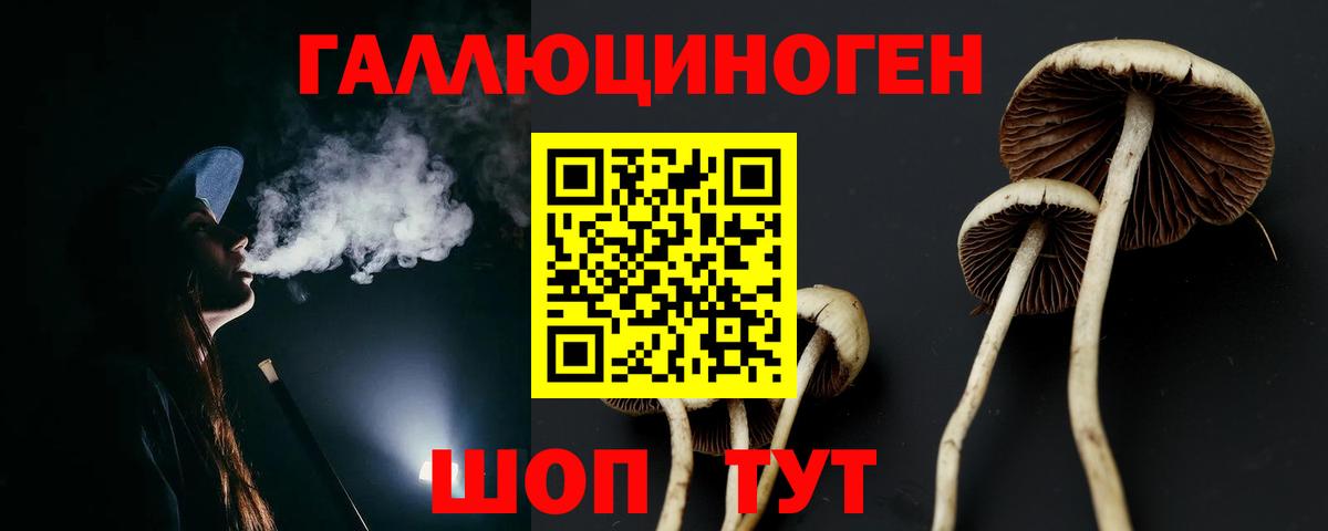 Псилоцибиновые грибы Cubensis Усть-Кут